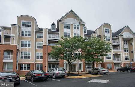 8181 Carnegie Hall Ct #107 Vienna, VA 22180