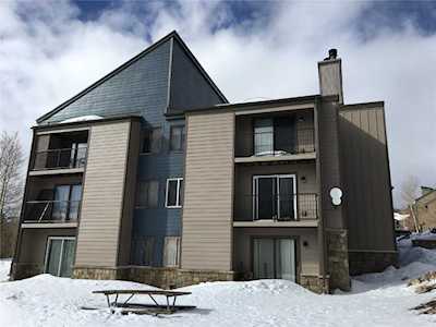 3481 Ryan Gulch Rd #3481 Silverthorne, CO 80498
