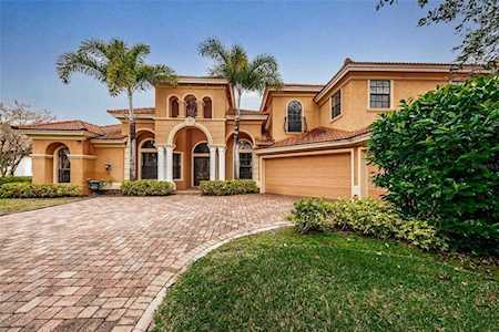 10541 Sabella Dr Trinity, FL 34655