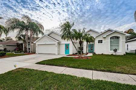 1658 Water Oak Dr Tarpon Springs, FL 34689