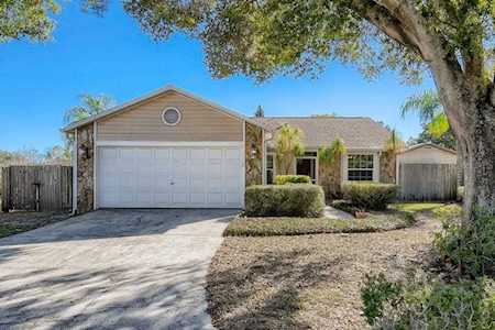 2864 Denmarsh Ct Palm Harbor, FL 34684