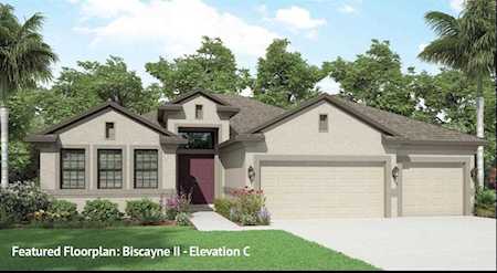 1916 Jullee Ln Palm Harbor, FL 34683