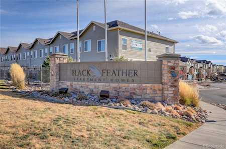 494 Black Feather Loop #115 Castle Rock, CO 80104