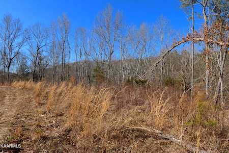 449 Bill Moser Rd Tract 3 Vonore, TN 37885
