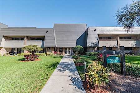 36750 Us Highway 19 N #19302 Palm Harbor, FL 34684
