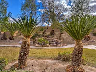 11 Canoa Hills Dr Henderson, NV 89052