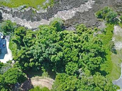 Lots 10 and 11 Pathfinder Ln. Pawleys Island, SC 29585