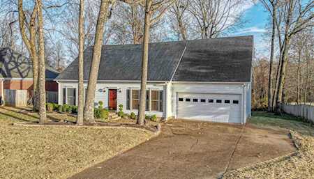 115 Paddock Place Jackson, TN 38305