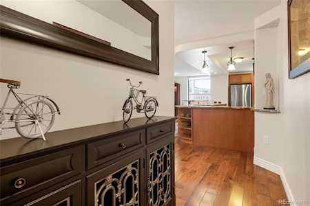 1625 Larimer St #503 Denver, CO 80202