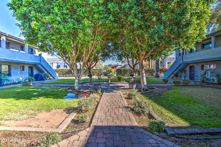 4224 N 12th Street #207 Phoenix, AZ 85014