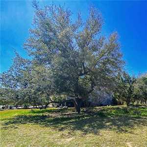 14604 Mansfield Dam CT #8 Austin, TX 78734