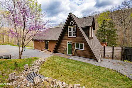 159 Dusty Ln Powell, TN 37849