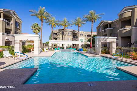 5303 N 7th Street #231 Phoenix, AZ 85014