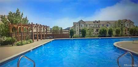 457 Black Feather Loop #719 Castle Rock, CO 80104