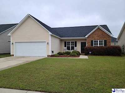 3022 Red Berry Circle Effingham, SC 29541