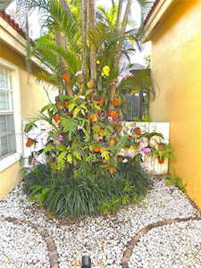 12608 NW 12th Ct Sunrise, FL 33323