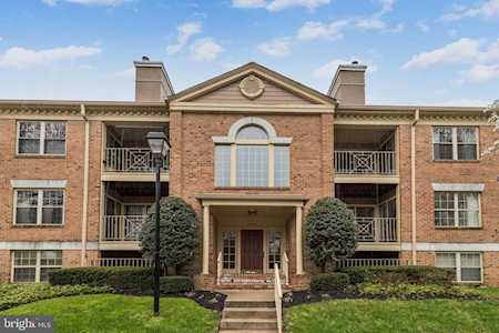 14210 Dove Creek Way #204 Sparks Glencoe, MD 21152