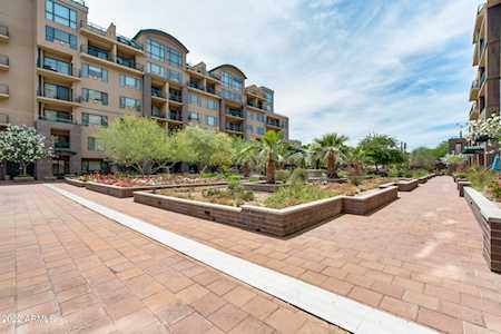 17 W Vernon Avenue #313 Phoenix, AZ 85003