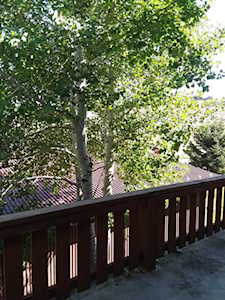 510 Redcliff Circle #H-201 Ridgway, COLORADO 81432