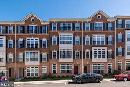 42599 Cardinal Trace Terrace Brambleton, VA 20148