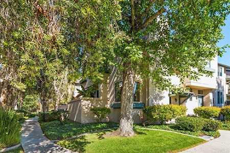 9913 Paseo Montril San Diego, CA 92129