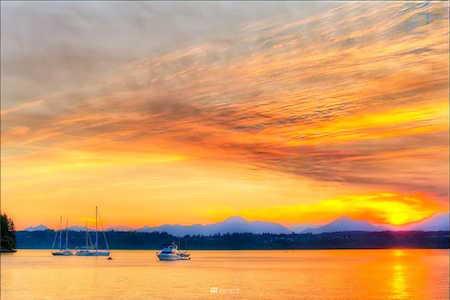 12625 Manzanita Rd NE Bainbridge Island, WA 98110