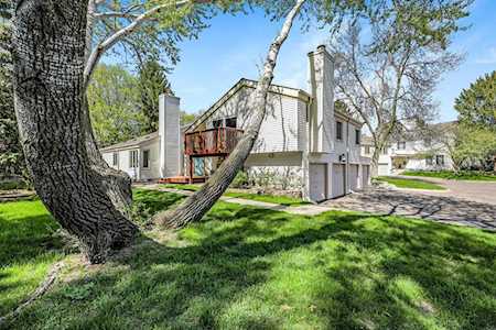 230 Cambria Court Woodbury, MN 55125