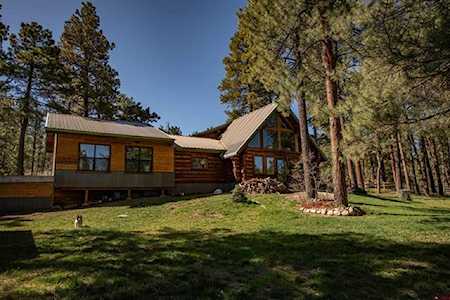 3601 A Terry Robinson Road Pagosa Springs, CO 81147