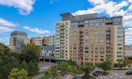 40 Nouvelle Way #N147 Natick, MA 01760