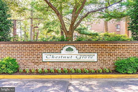 11212 Chestnut Grove Square Reston, VA 20190