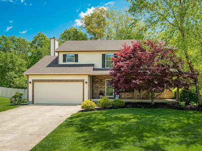 295 Timber Ridge Drive Pickerington, OH 43147