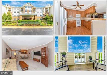 2607 Chapel Lake Dr #309 Gambrills, MD 21054