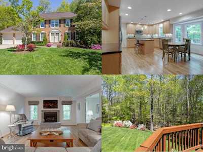 7709 Wilbur Ct Springfield, VA 22153