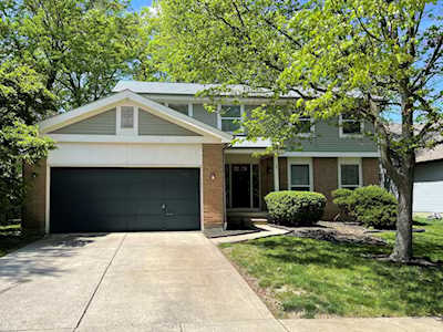 8925 Shrockton Street Powell, OH 43065