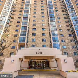 5901 Mount Eagle Dr #504 Alexandria, VA 22303