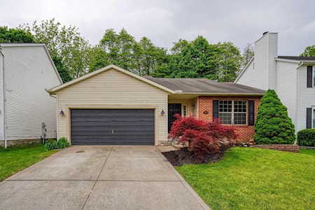 7919 Dolmen Drive Blacklick, OH 43004
