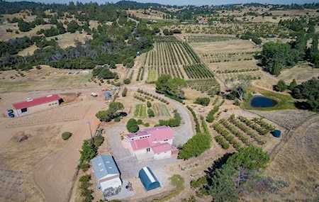 1882 Wynola Road Julian, CA 92036