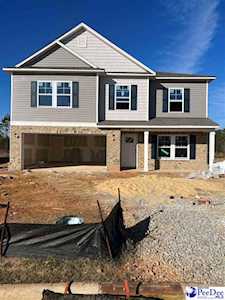 3049 Black Bird Dr (Lot 17) Effingham, SC 29541