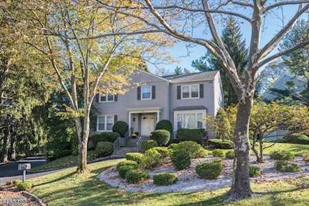 1068 Saddlebrook Rd Mountainside Boro, NJ 07092