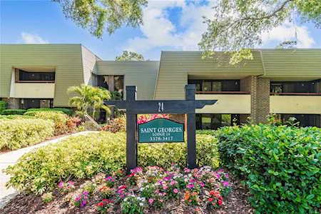 36750 Us Highway 19 N #24213 Palm Harbor, FL 34684