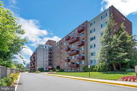 1830 Columbia Pike #305 Arlington, VA 22204