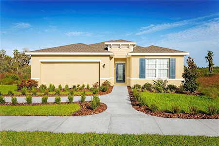 29269 Meadowcroft Ln Wesley Chapel, FL 33544