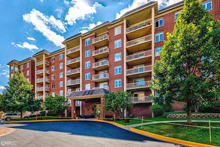 8300 Callie Ave #214 Morton Grove, IL 60053