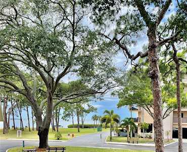2700 Bayshore Blvd #6208 Dunedin, FL 34698