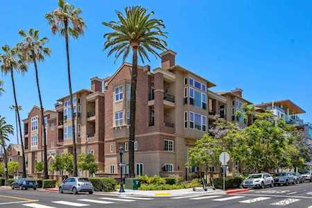 350 Nutmeg #401 San Diego, CA 92103