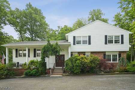 18 Green Hill Rd Springfield Twp., NJ 07081