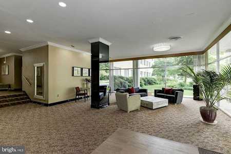 6641 Wakefield Dr #420 Alexandria, VA 22307