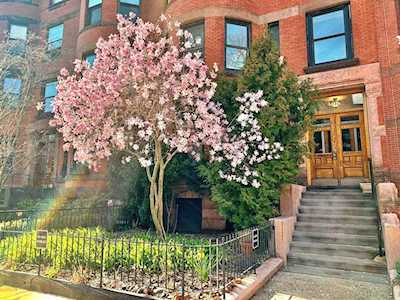 405 Marlborough St #41 Boston, MA 02115