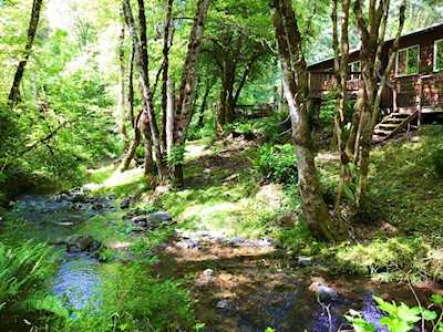 8100 Lower Grave Creek Rd Wolf Creek, OR 97497