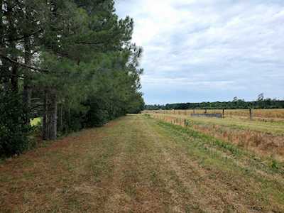 899 Pittman Lane Micro, NC 27555
